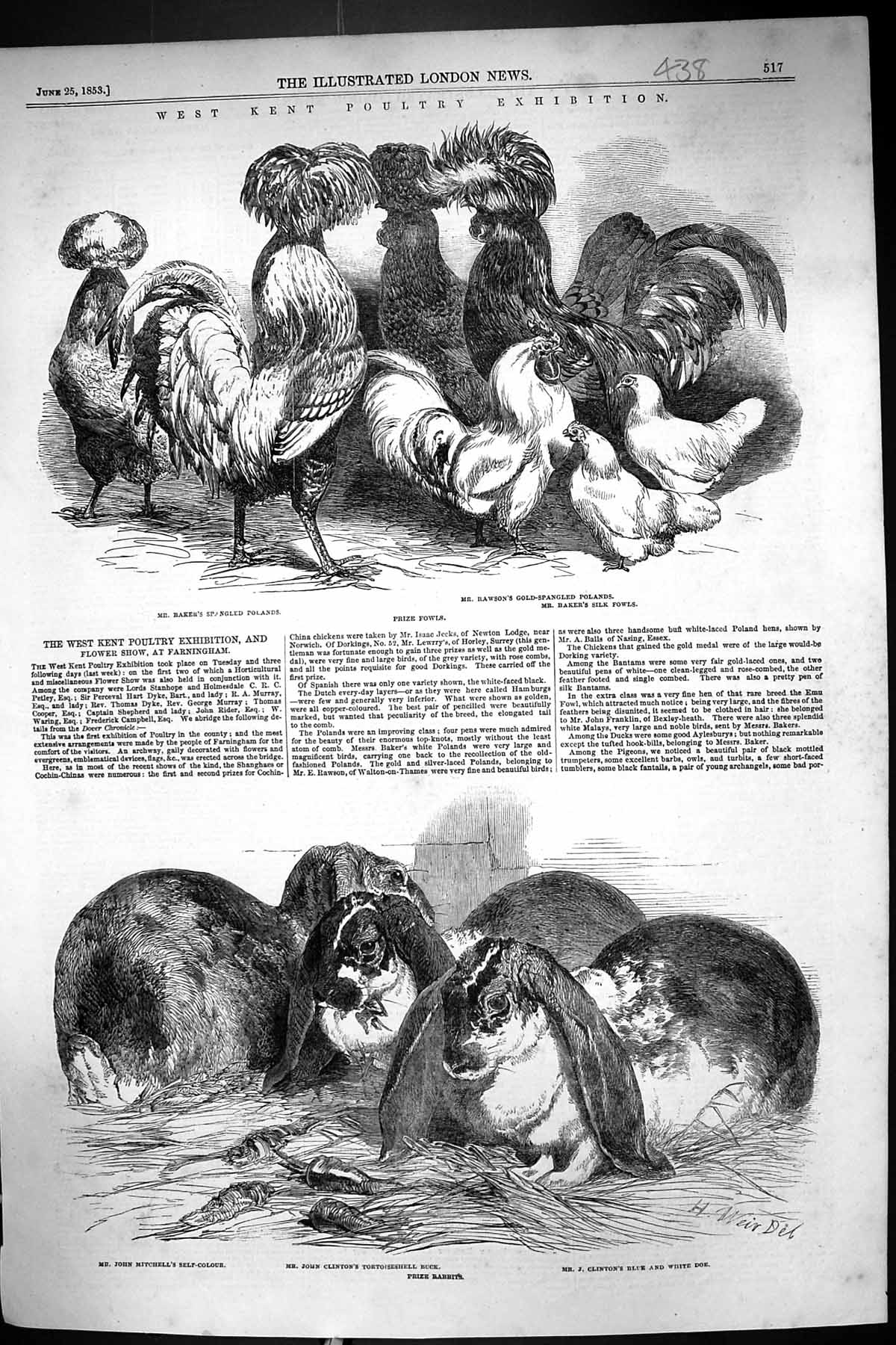 Old 1853 Kent Poultry Exhibition Baker Rawson Clinton Mitchell Clinto Victorian