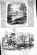 Old 1860 Garden Acclimatisation Paris Lake Kew Gardens London Swans B Victorian