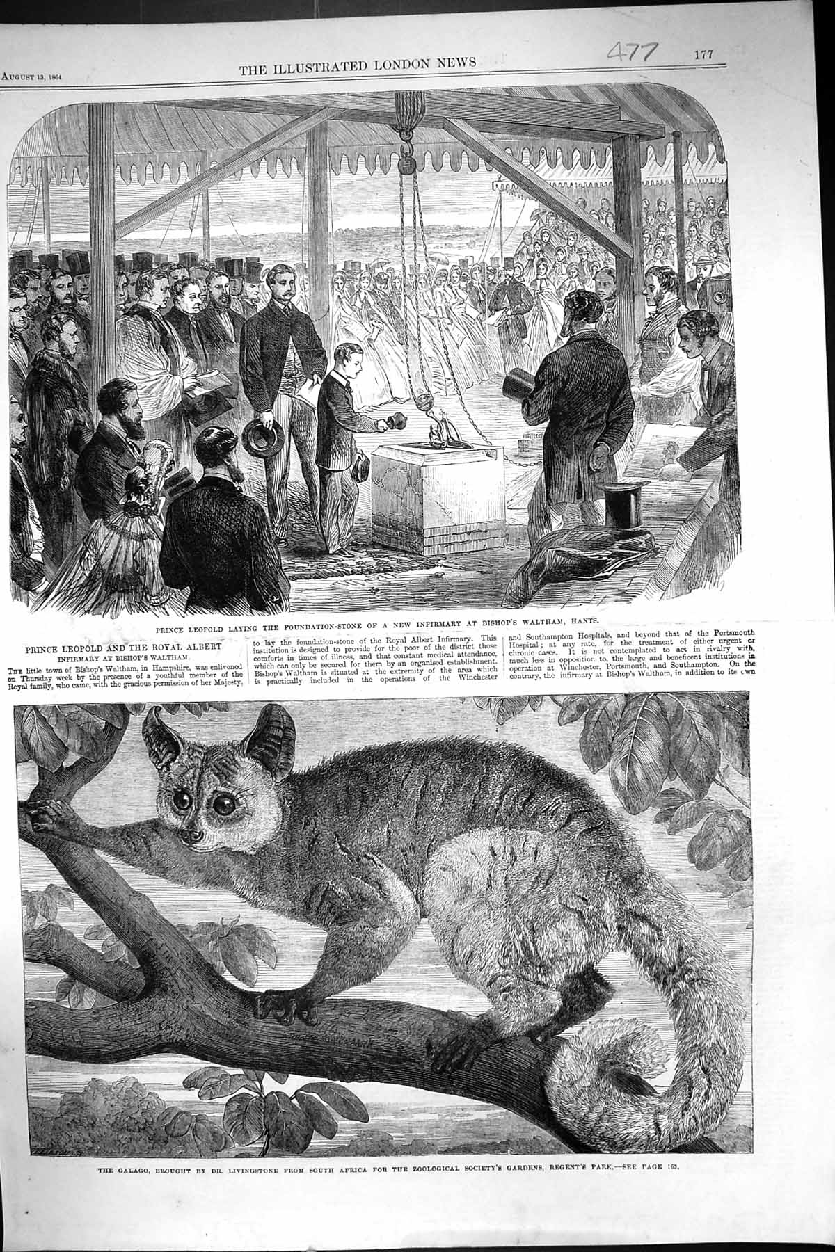 Antique Print 1864 Prince LeopFoundation Infirmary Bishop Waltham Galago Li