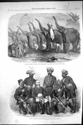 Old 1864 Elephants Saluting Commandant Dinapore India Police Force Be Victorian