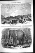 Old 1863 Elephant Children India Guebers Sun Worshippers Sun-Set Scen Victorian