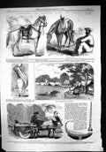 Old 1858 Native Life India Leopard Hunting Bengal Sepoy Calcutta Syce Victorian
