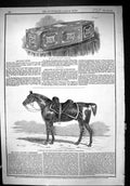 Original Old Antique Print 1852 Coffin Duke Wellington Copenhagen Charger Horse