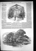 Old Print 1852 Stratfieldsay Conservatory Grave Charger Horse Copenhagen 19th