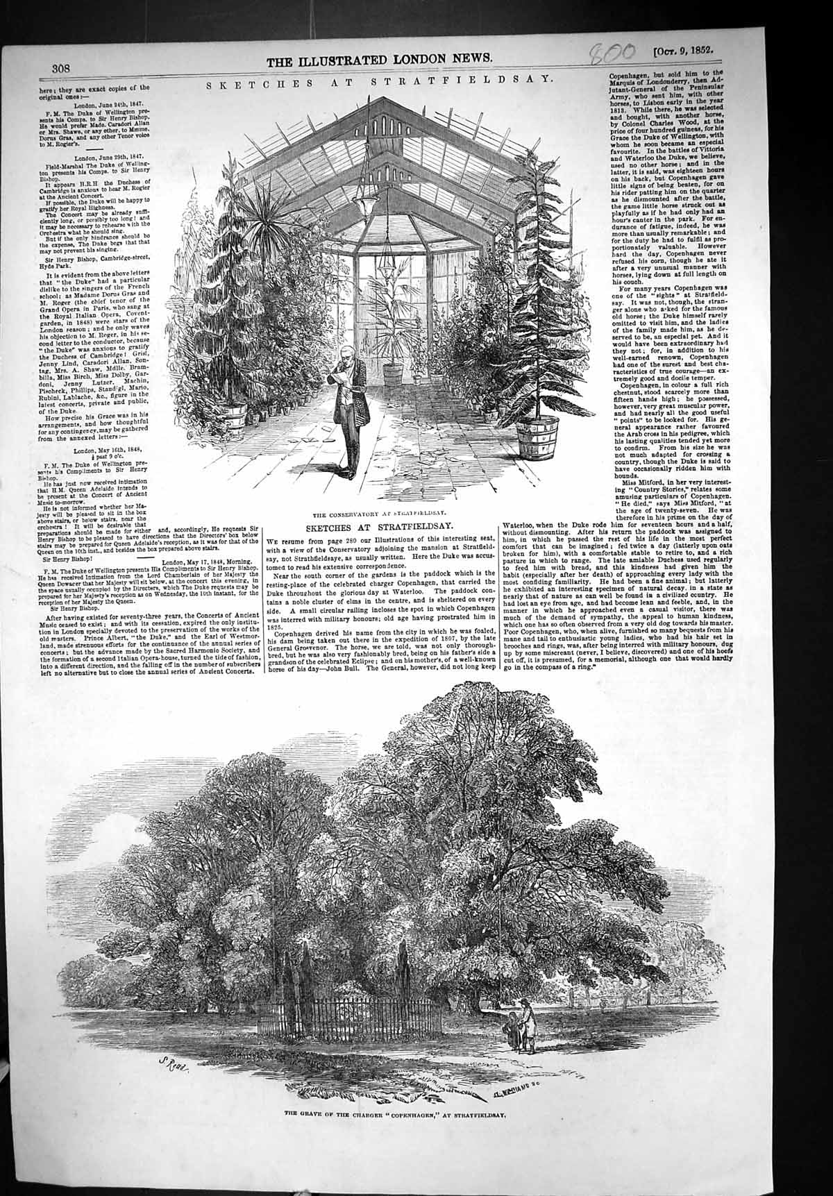 Old Print 1852 Stratfieldsay Conservatory Grave Charger Horse Copenhagen 19th