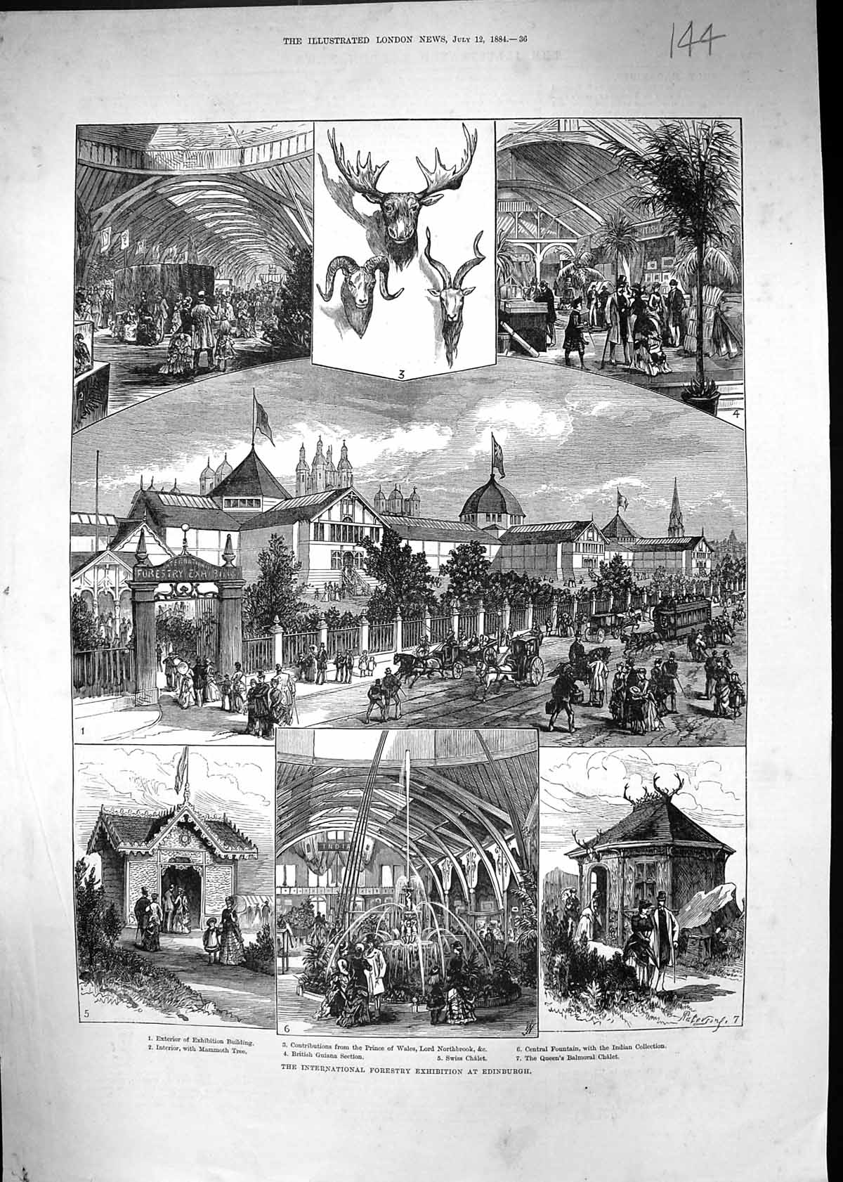 Old 1884 Forestry Exhibition Edinburgh Prince Wales Lord Northbrook B Victorian