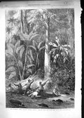Old 1867 Nicaragua Route Central America Floating Down River Rama Raf Victorian
