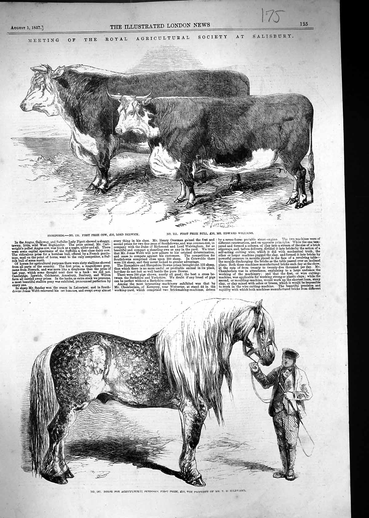 Old 1857 Agricultural Show Salisbury Lord Berwick Williams Horse Hild Victorian