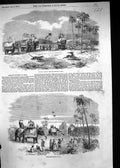 Old 1857 Antelope Hunting Leopard India Partridge Hawking Birds Anima Victorian