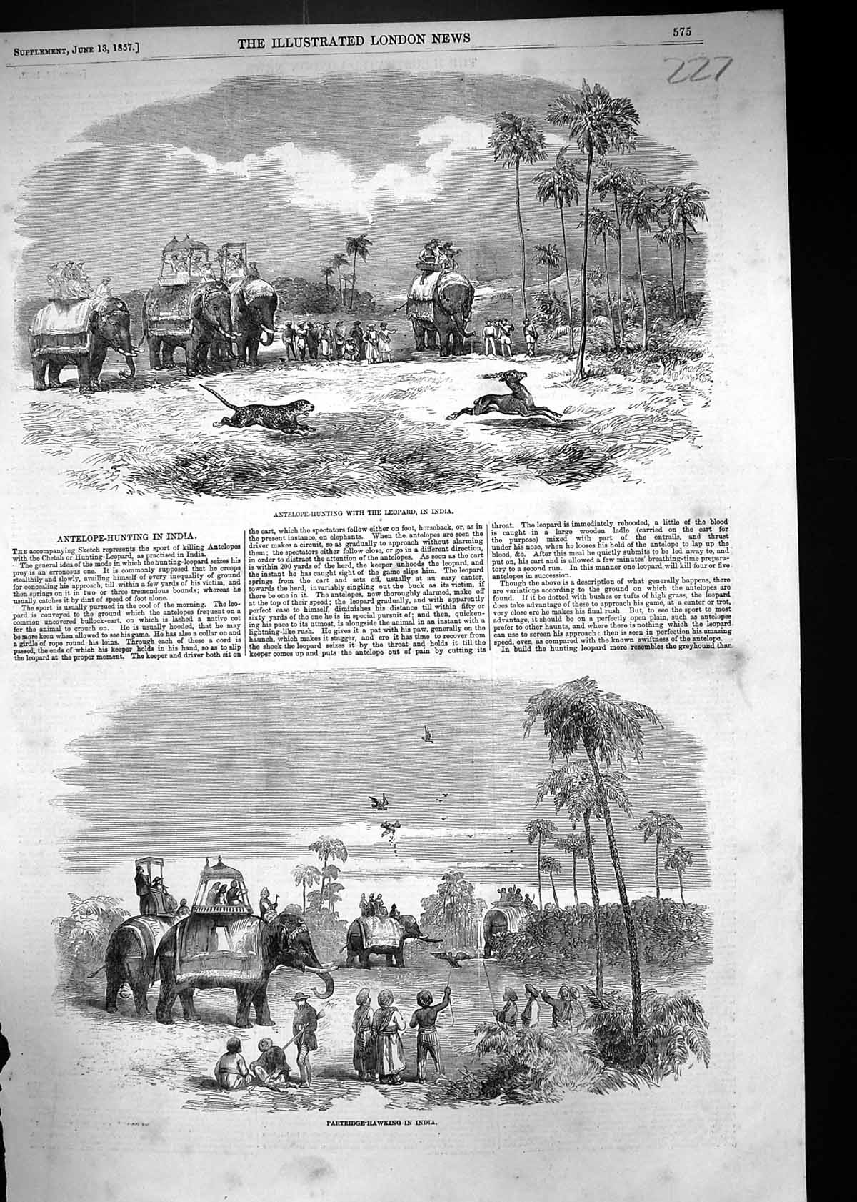 Old 1857 Antelope Hunting Leopard India Partridge Hawking Birds Anima Victorian