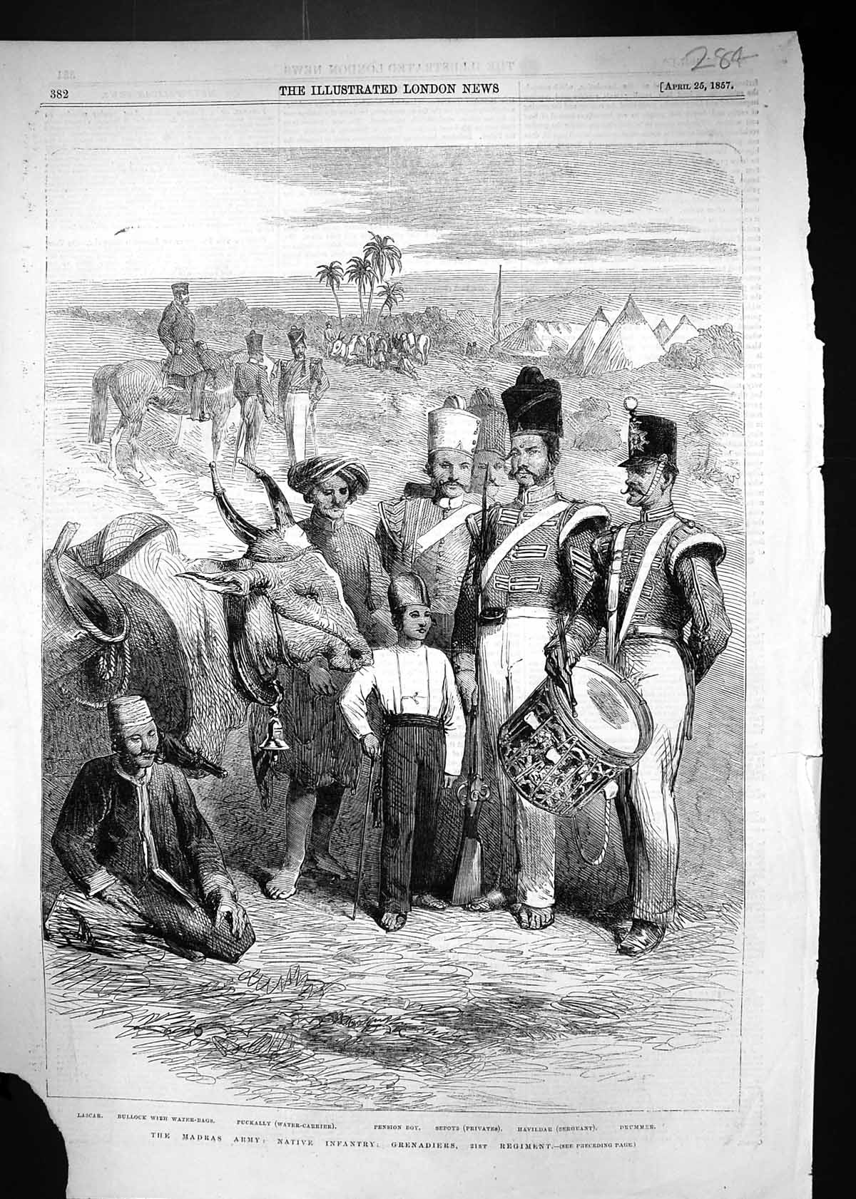 Old 1857 Madras Army Native Infantry Grenadiers Lascar Puckally Sepoy Victorian