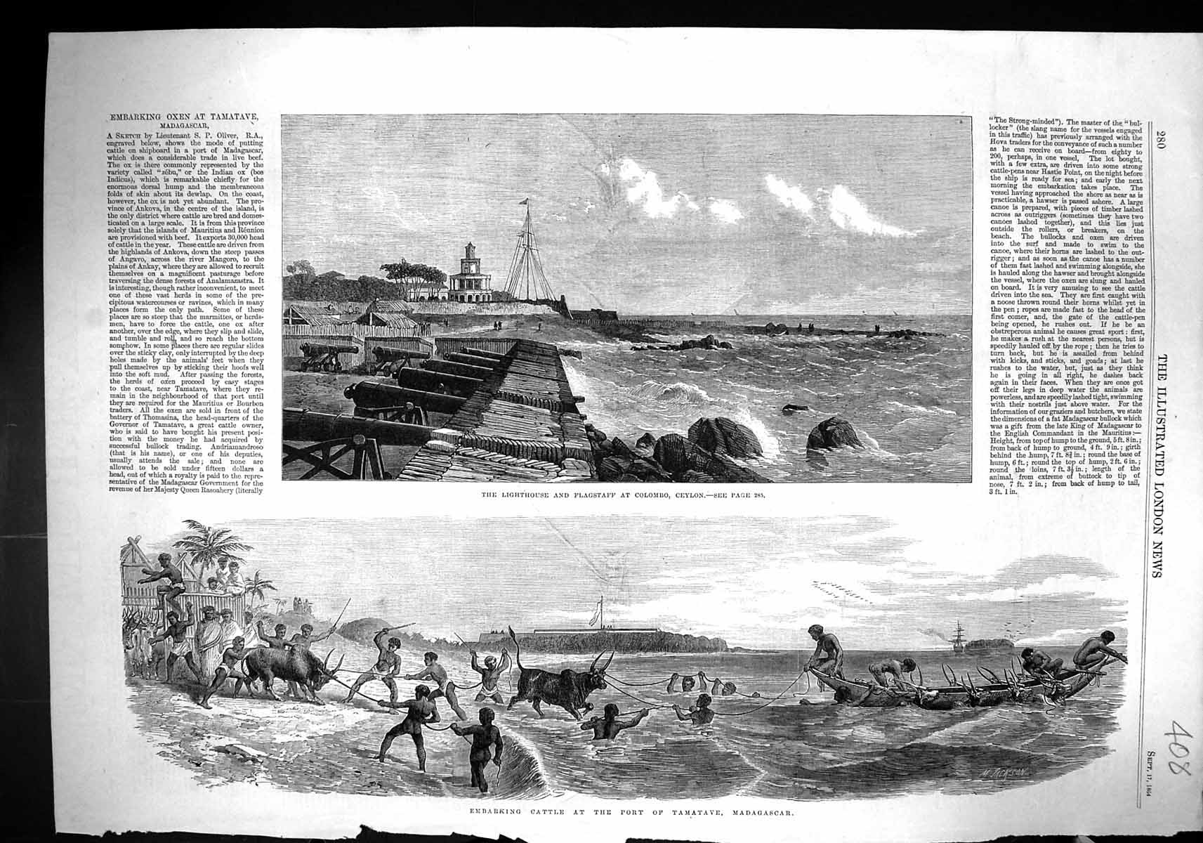 Old 1864 Lighthouse Flagstaff Colombo Ceylon Cattle Fort Tamatave Mad Victorian
