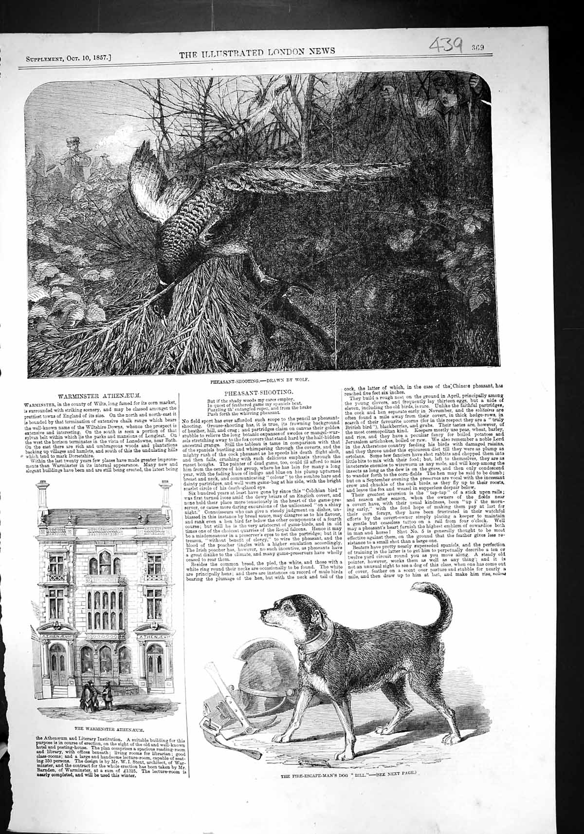 Old 1857 Pheasant Shooting Fire-Escape-Man'S Dog Bill Warminster Athe Victorian