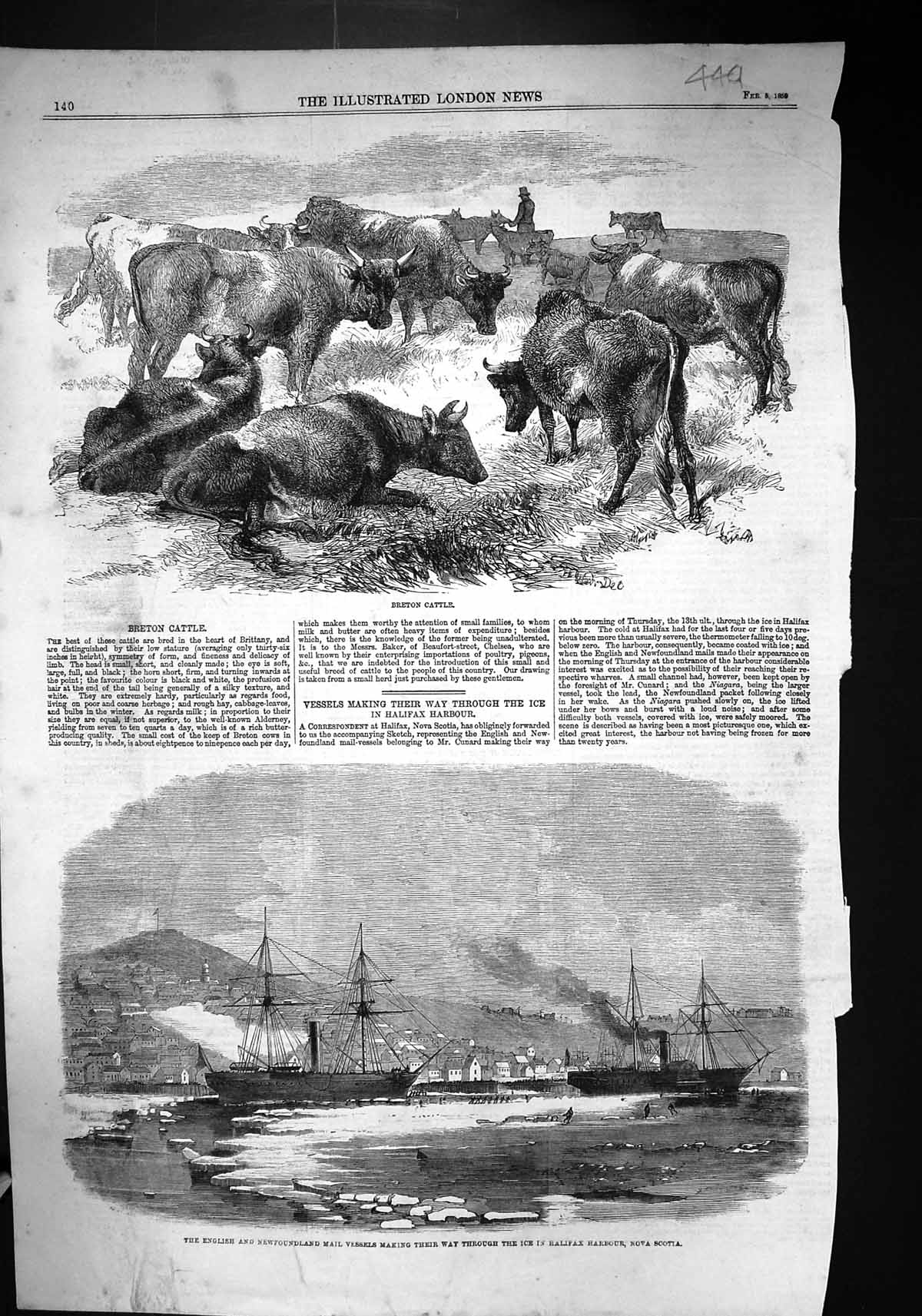 Old 1859 Breton Cattle English Newfoundland Mail Ship Ice Halifax Har Victorian