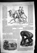 Old 1859 Barras Camel Corps Rajpootana Gorilla Memorial Church Pentre Victorian