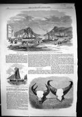 Old 1859 St. John'S Newfoundland Kent Fishery Clipper Sailing Barge T Victorian