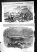 Old 1856 Elm Tree Hyde Park Accident City Canal Dock Gates Blackwall Victorian