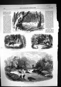 Old 1858 Escoumains River Salmon Pool Sport Canada Turkey Shooting De Victorian