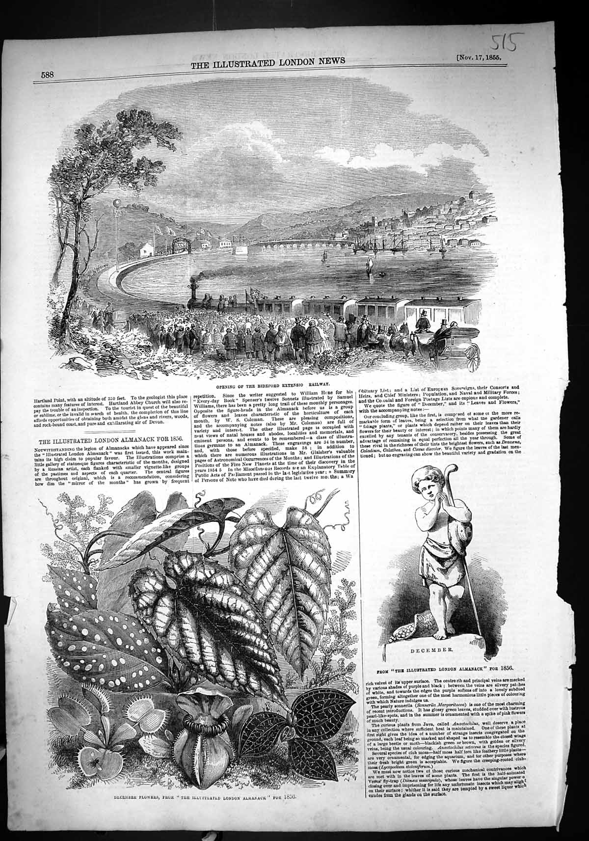 Old 1855 Opening Bideford Extension Railway December Flowers London A Victorian