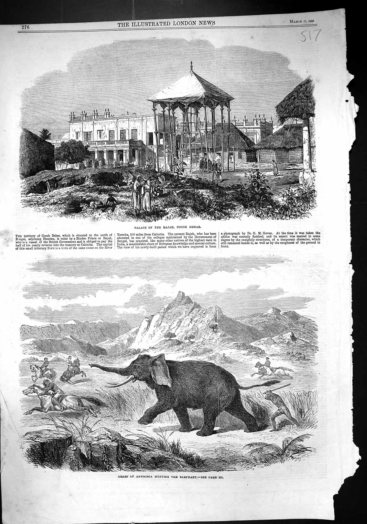 Old 1866 Palace Rajah Cooch Behar Arabs Abyssinia Hunting Elephants A Victorian
