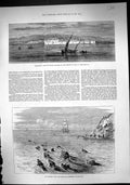 Old 1881 Hammamet Tunis Africa Devon Somerset Staghounds Sea Ship Hor Victorian