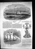 Old 1855 Alliance Southampton Havre Mail Steamer Ship Eckford Webb Ne Victorian