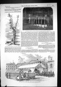 Old 1852 Funeral Tent Horse Guards Duke Wellington Tree Field Waterlo Victorian
