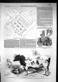 Old 1857 Plan Farm Buildings Shirburn Oxon Prize Shorthorn Bull Smith Victorian