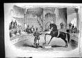 Antique Old Print 1858 American Performing Horse Black Eagle Alhambra Palace