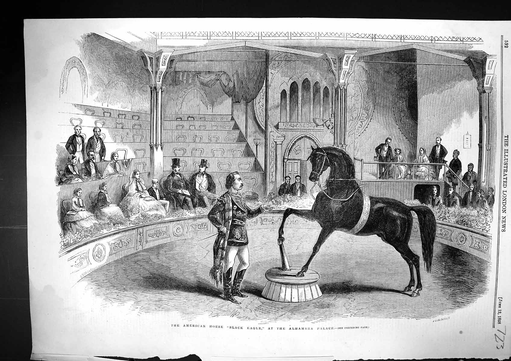 Antique Old Print 1858 American Performing Horse Black Eagle Alhambra Palace