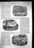Antique Print 1853 California Industry Bar Sicard Yuba GWashing Mining Amer