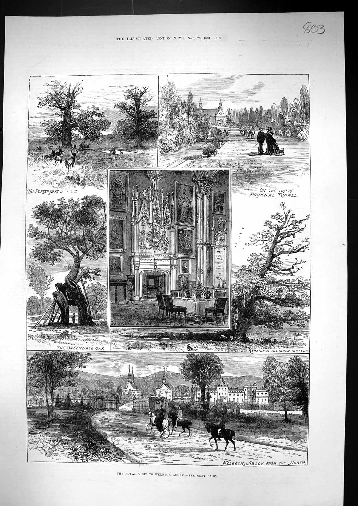 Old 1881 Royal Visit Welbeck Abbey Porter Oaks Greendale Oak Tree Sev Victorian