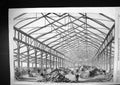 Antique Print 1858 Show American Plants Ashburnham Pavilion Cremone Gardens