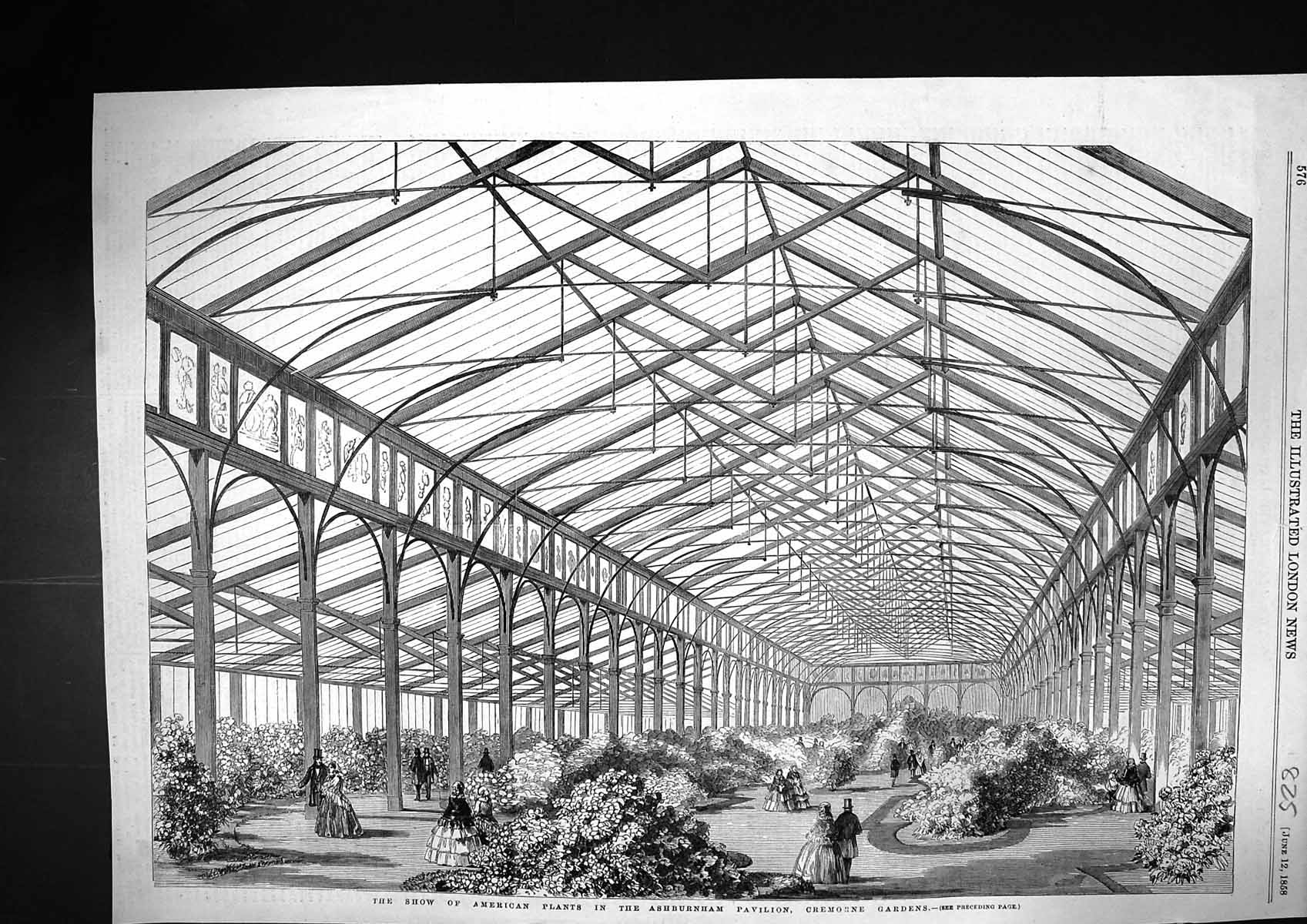 Antique Print 1858 Show American Plants Ashburnham Pavilion Cremone Gardens