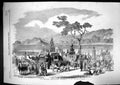 Original Old Antique Print 1857 Mohurrum Festival Procession Tazzies Elephants