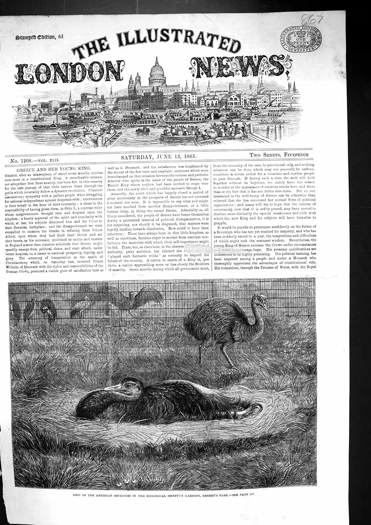 Old 1863 Nest American Ostriches Birds Zoological Society Gardens Reg Victorian