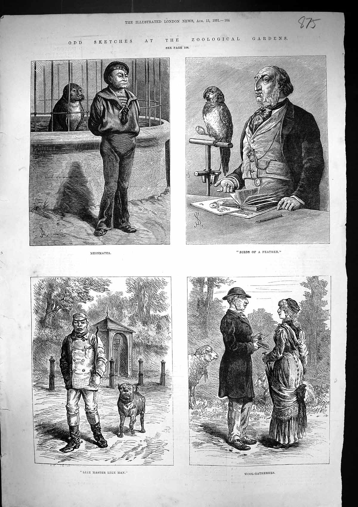 Old 1881 Zoological Gardens Parrot Bird Wool-Gatherers Man Dog Seal S Victorian