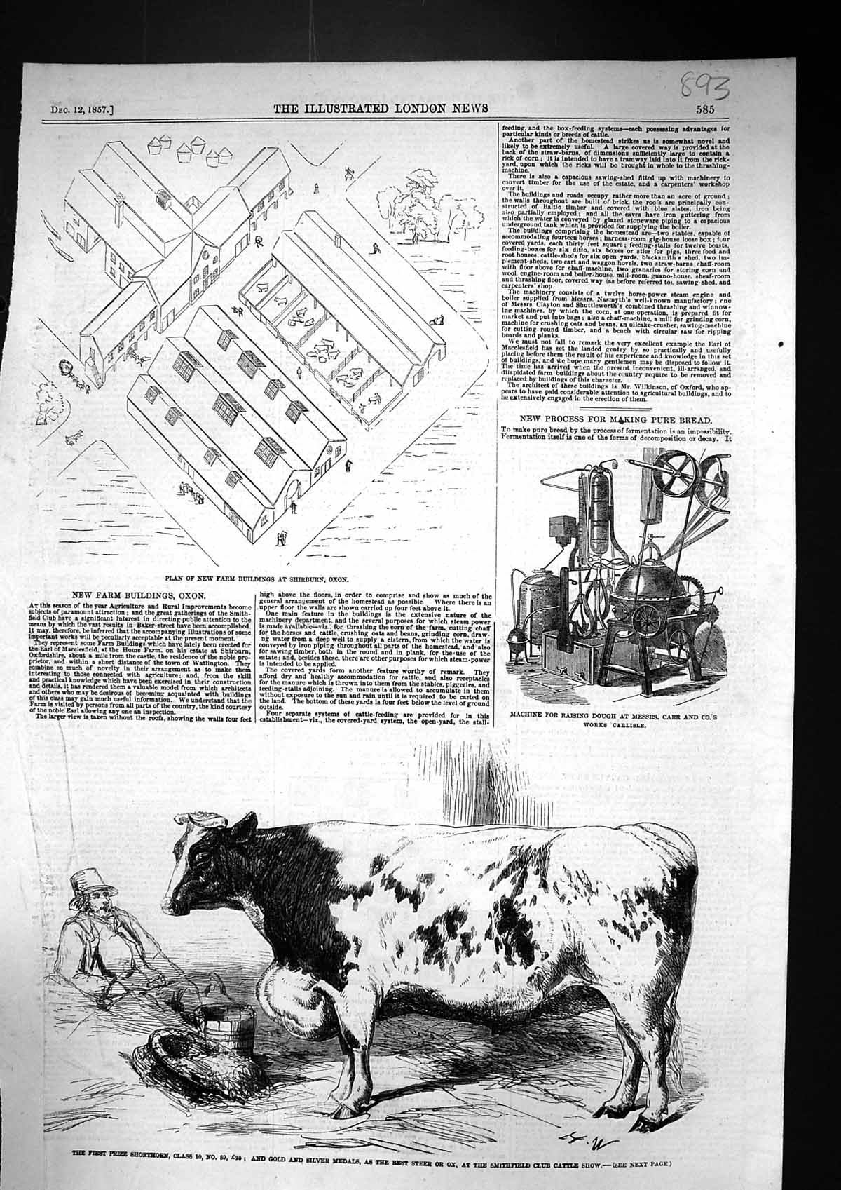 Old 1857 Plan Farm Buildings Shirburn Oxon Prize Shorthorn Smithfield Victorian