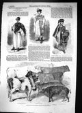 Old 1856 Prize Cattle Paris Amtrim Pigs Schwitz Bull Hungarian Shephe Victorian