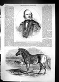 Old 1858 Alderman David Williams Wire Lord Mayor Quagga Regent'S Park Victorian