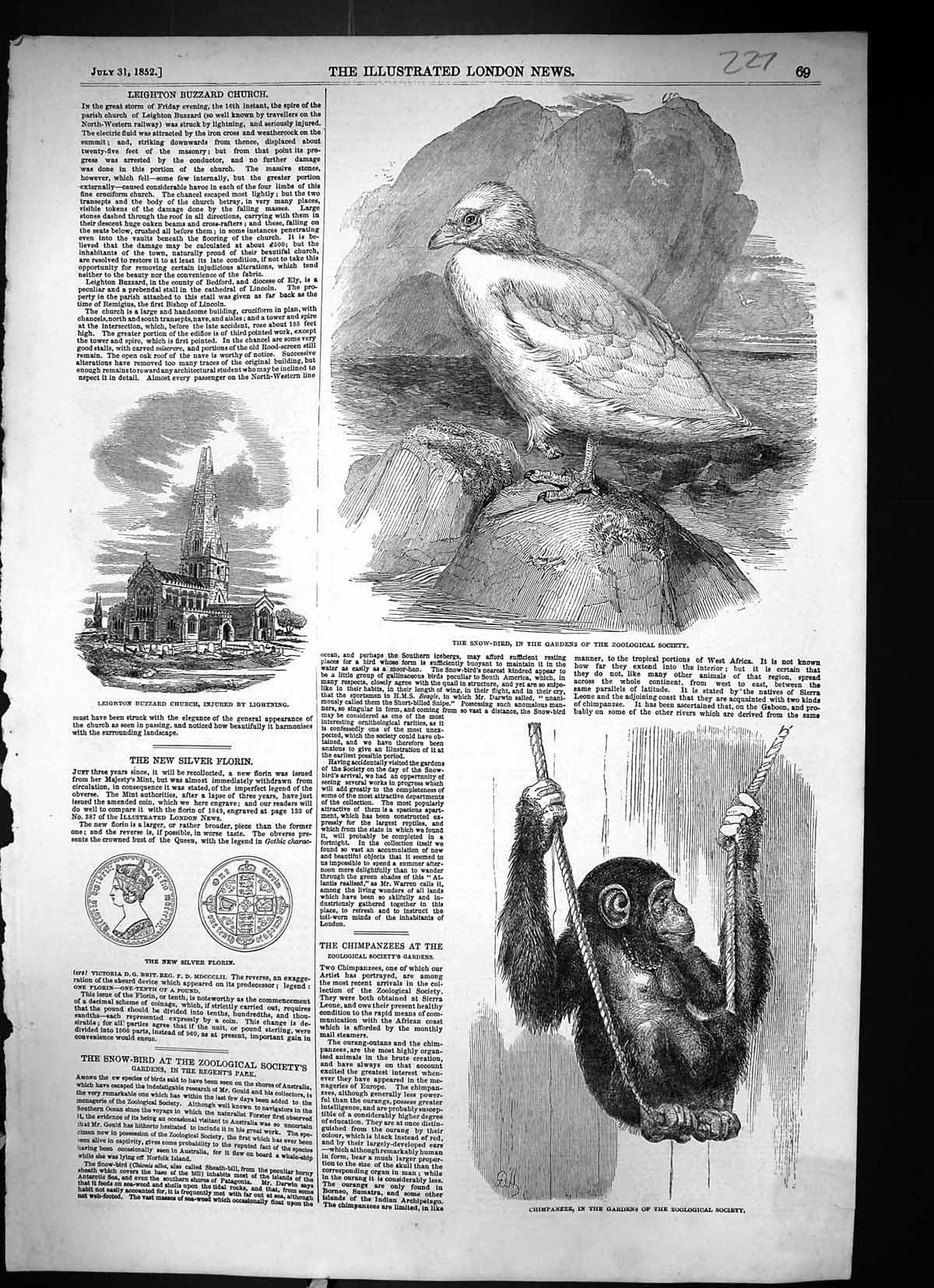 Old 1852 Snow Bird Chimpanzee Zoo Leighton Buzzard Church Silver Flor Victorian