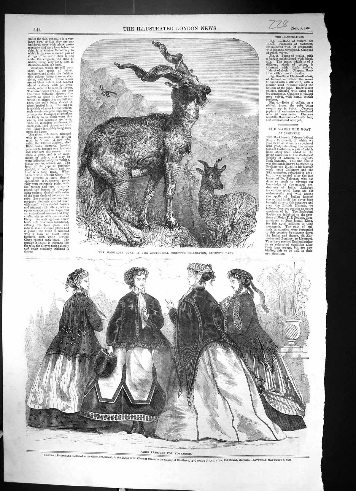 Old 1866 Markhore Goat Zoological Society Regent'S Park Paris Fashion Victorian