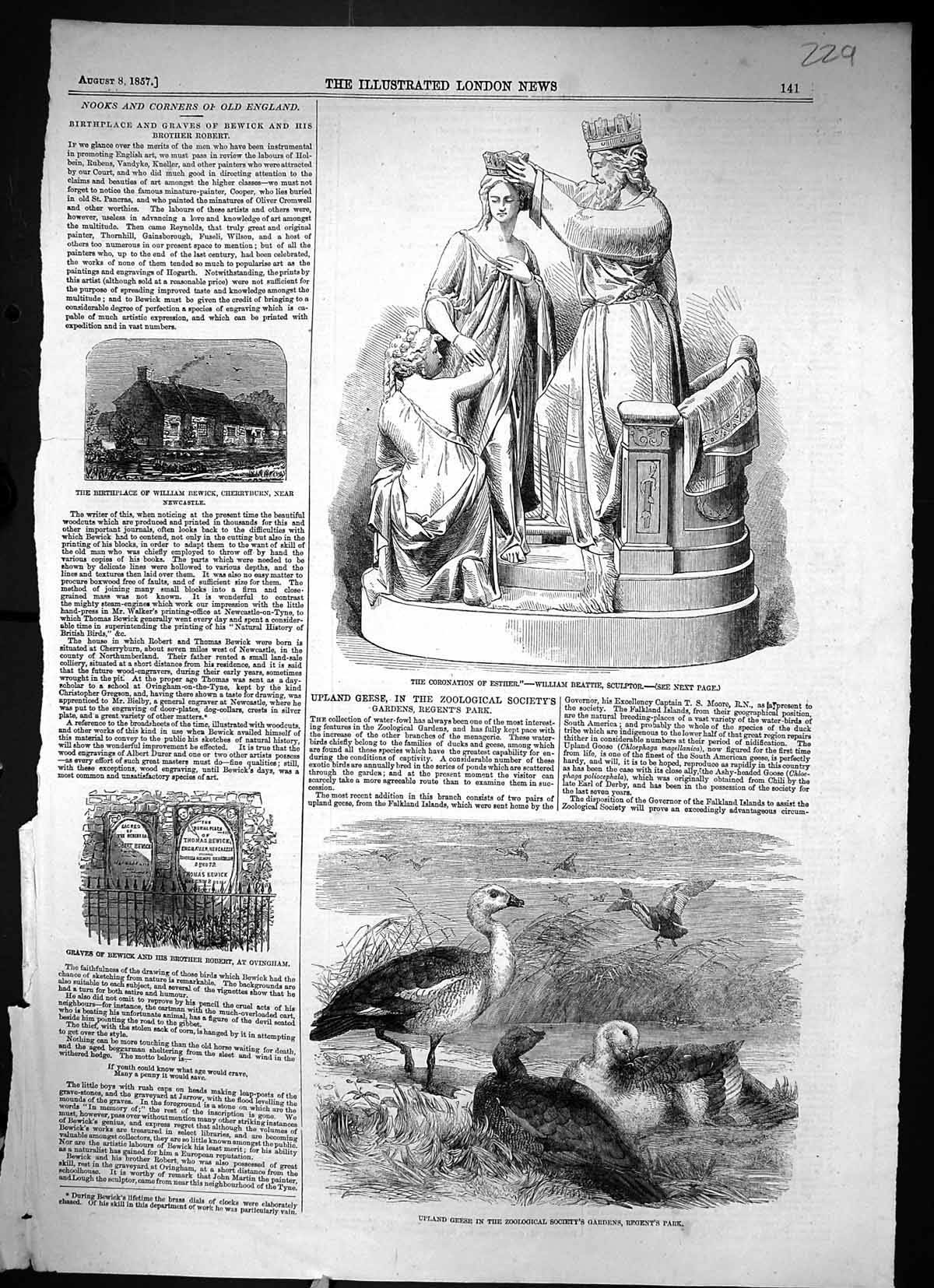 Old 1857 Sculpture Coronation Esther Beattie Upland Geese Graves Bewi Victorian