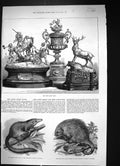 Old 1875 Ascot Prize Plate Tree Shrew Pegu Porcupine Brazil Zoologica Victorian