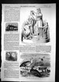 Old 1857 Coronation Esther Beattie Uplan Geese Graves Bewick Robert O Victorian