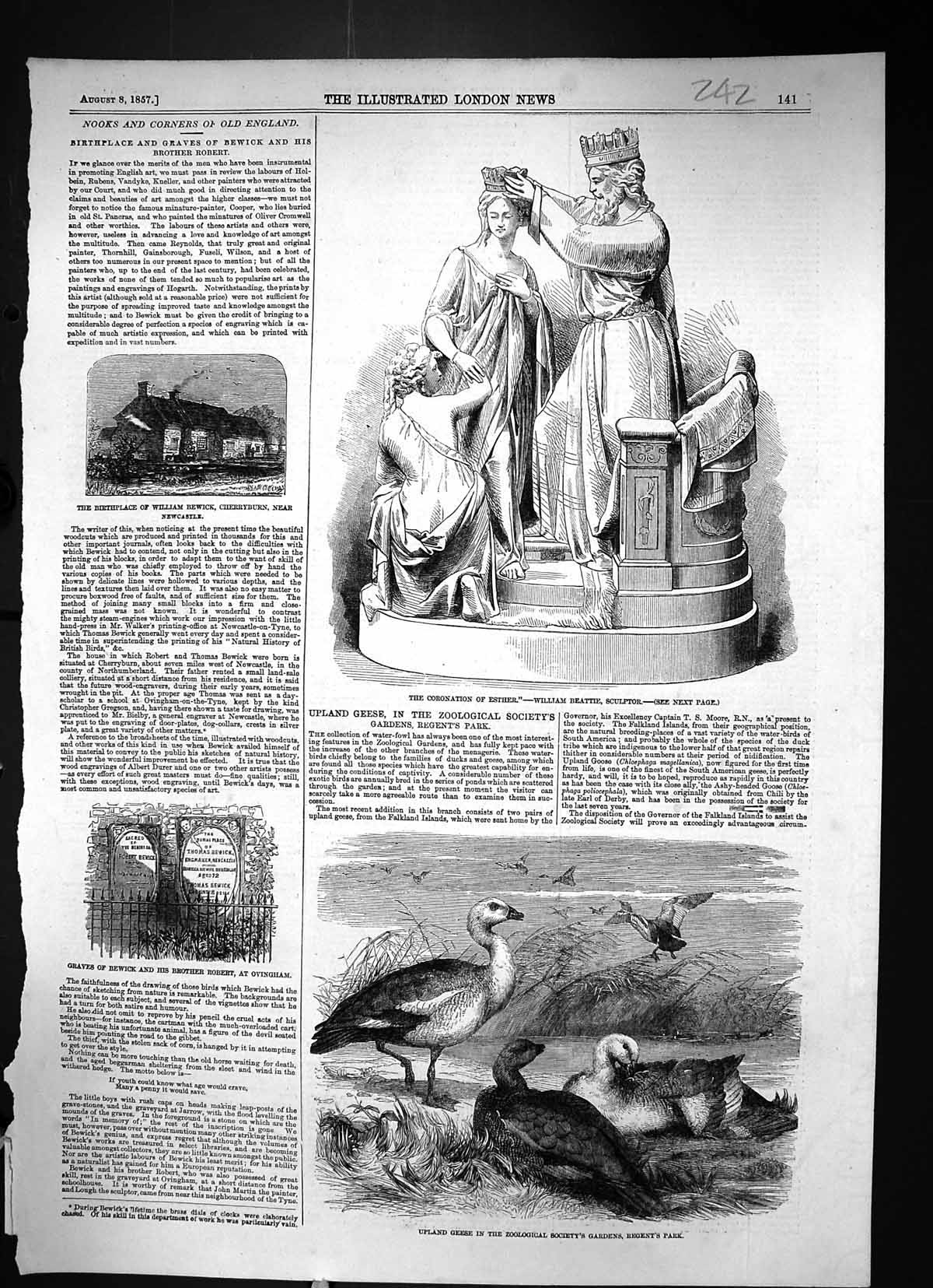 Old 1857 Coronation Esther Beattie Uplan Geese Graves Bewick Robert O Victorian