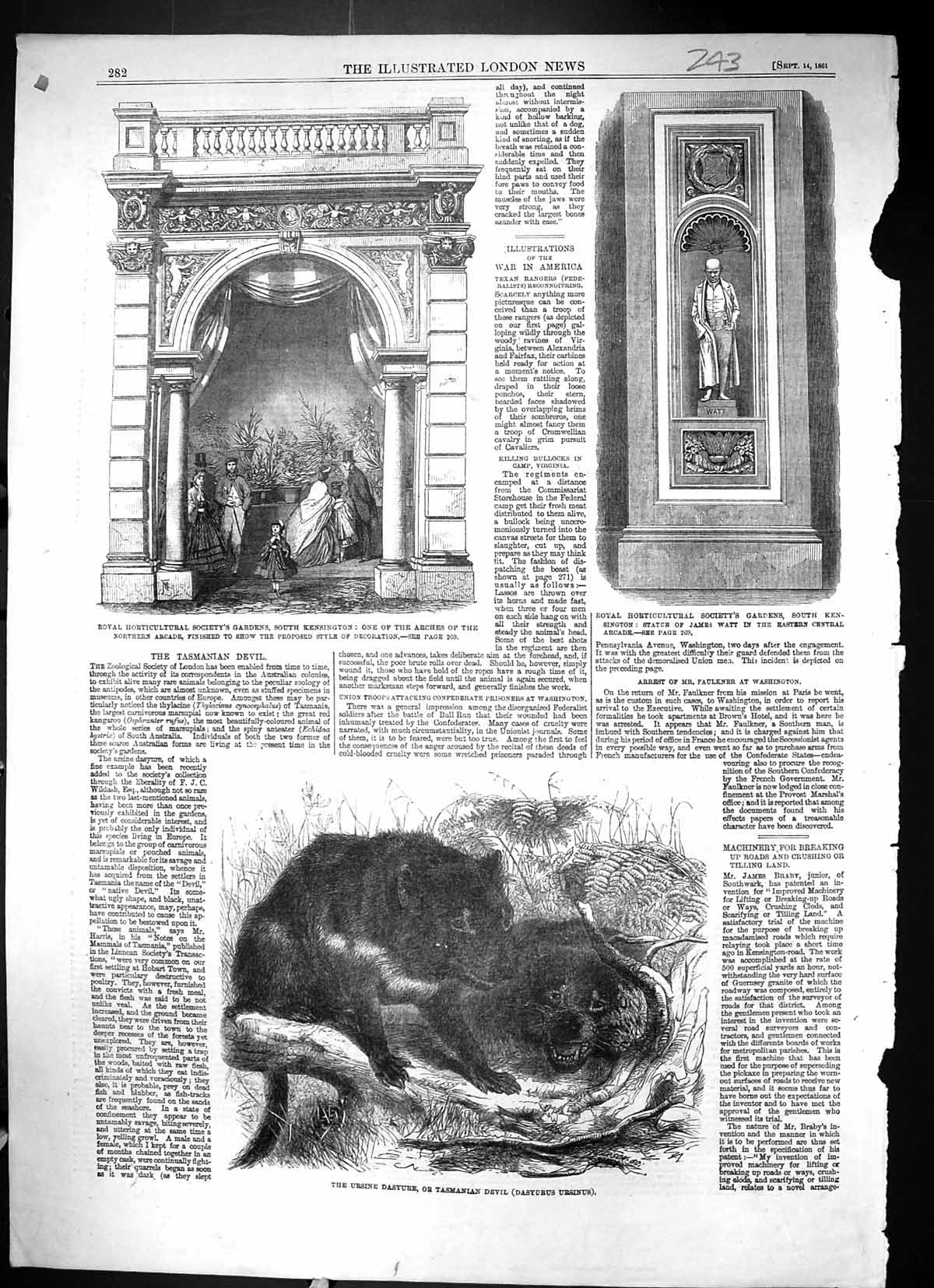 Old 1861 Ursine Dasyure Tasmanian Devil Horticultural Society Gardens Victorian