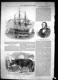 Old 1853 Digby Seymour Sloop Ship Rattlesnake Arctic Expedition Mardi Victorian