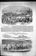Antique Print 1854 Foot Guards Scutari War Siers British Infantry Robertson