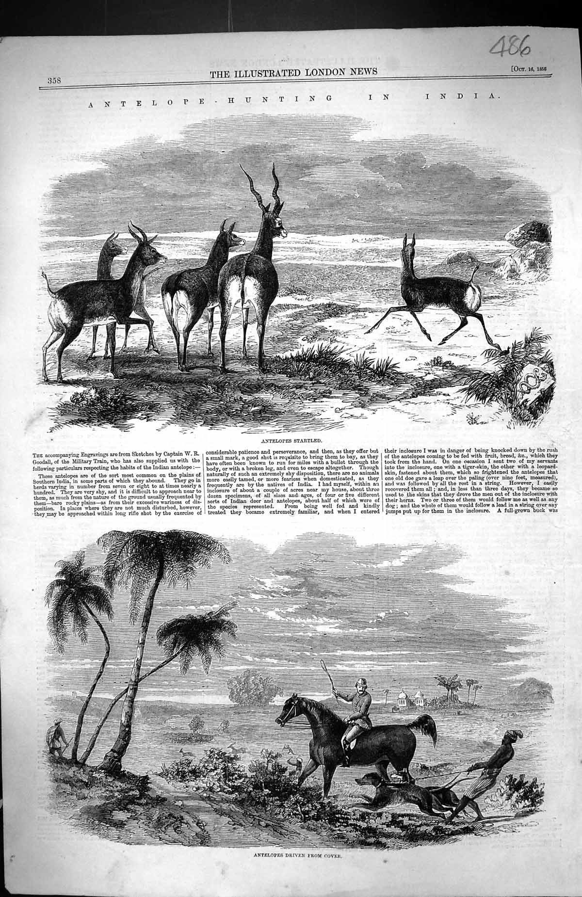 Old 1858 Antelope Hunting India Driving From Cover Sport Huntsman Hor Victorian